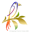 P�jaro